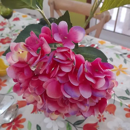 Apartamento Apartamentos Vigo *