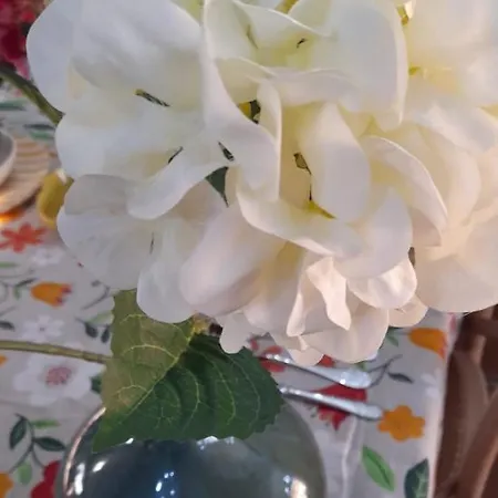 Apartamentos Vigo Apartamento