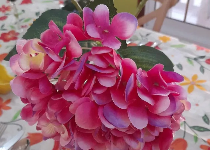 Apartmán Apartamentos Vigo *