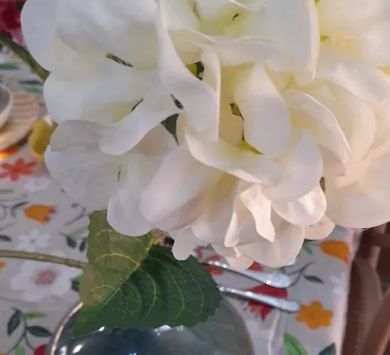 Apartamentos Vigo Apartmán